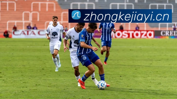 多媒体互动体验